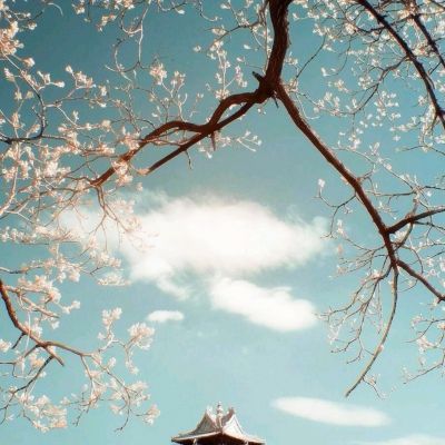张雪峰“心脏骤停”正在抢救？合伙人称暂时无可奉告，助理回应不知情